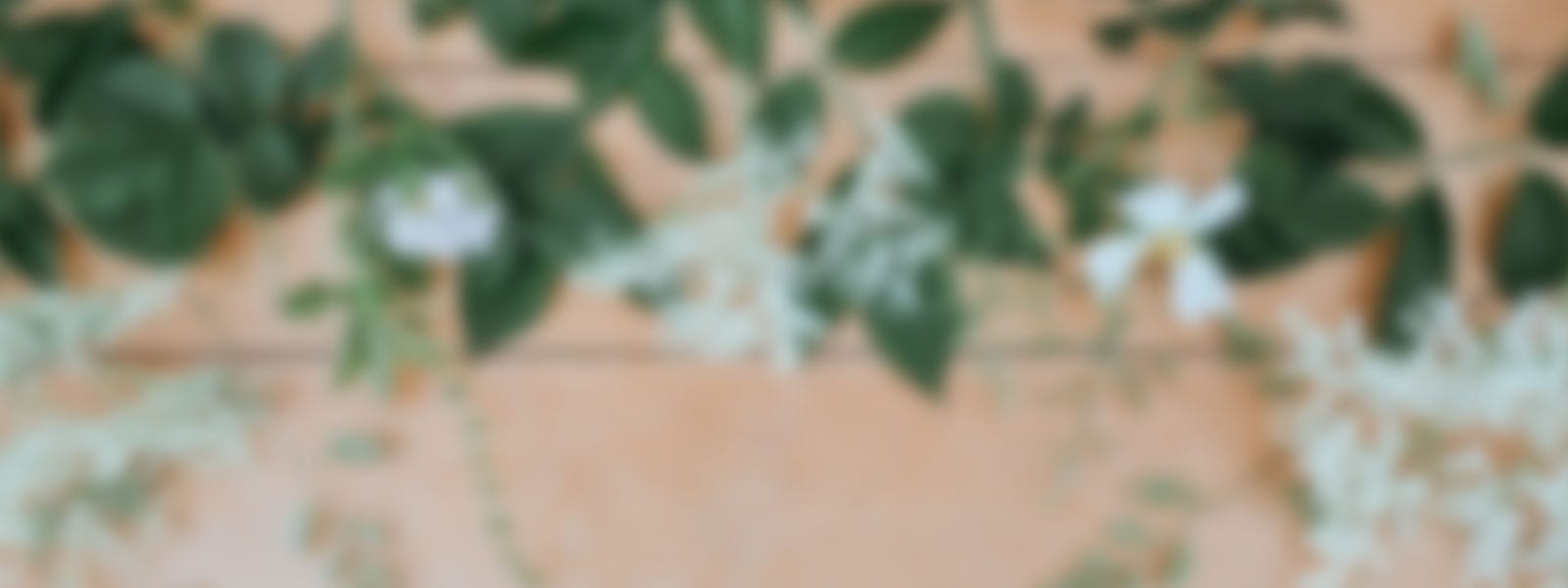 ivy background